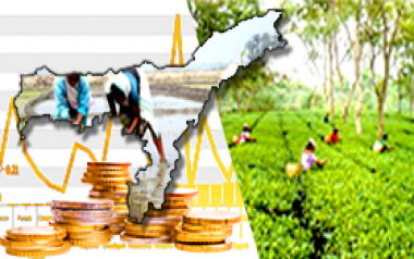 Assam Budget, Economic Survey & Statistical Handbook