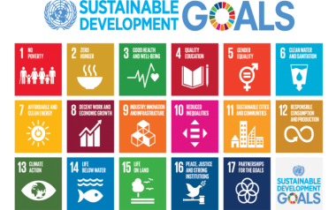 Implementation of SDGs in Assam